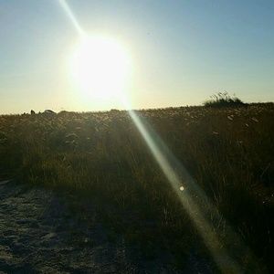 Meet your Posher, Alia